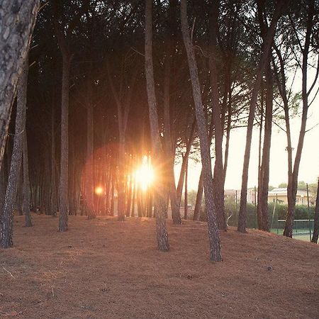 Hotel Villaggio Sirio Catanzaro Dış mekan fotoğraf