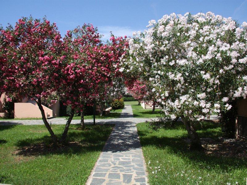 Hotel Villaggio Sirio Catanzaro Dış mekan fotoğraf