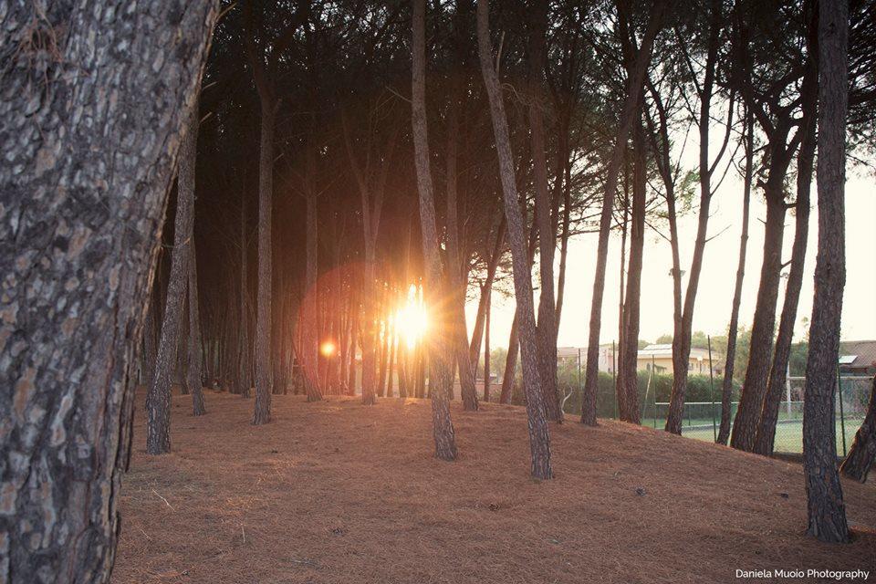 Hotel Villaggio Sirio Catanzaro Dış mekan fotoğraf